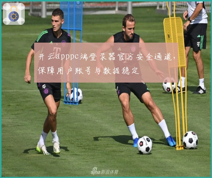开云apppc端登录器官方安全通道,保障用户账号与数据稳定