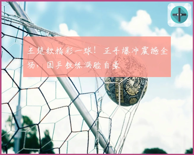 王楚钦精彩一球！正手爆冲震撼全场，国乒教练满脸自豪